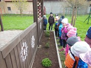 Pěstujeme bylinky na zahrádce